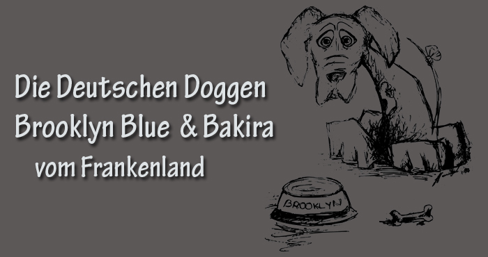 Brooklyn Blue & Bakira vom Frankenland